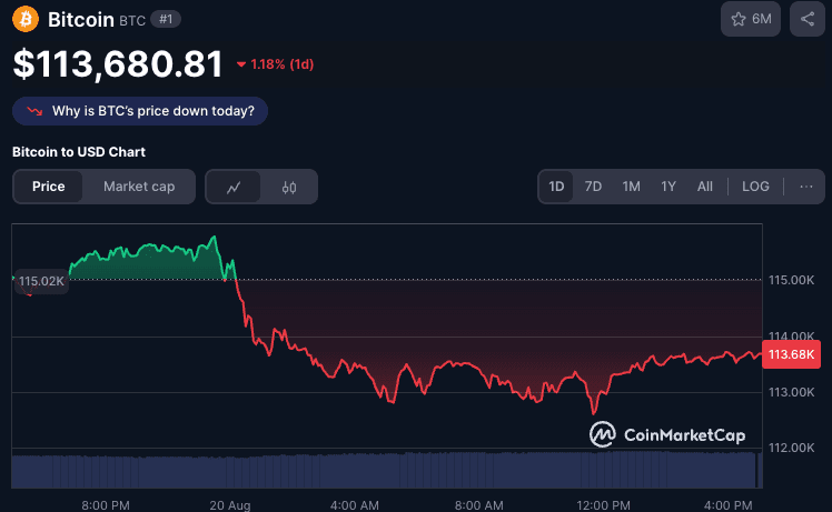 bitcoin price chart: why is crypto crashing?