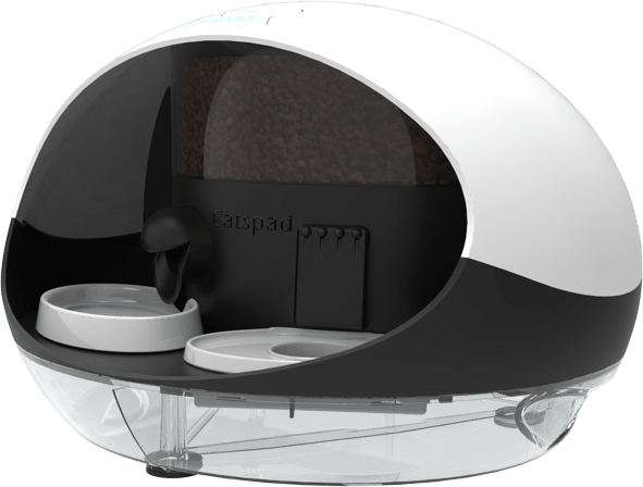 Catspad water connected cat food dispenser