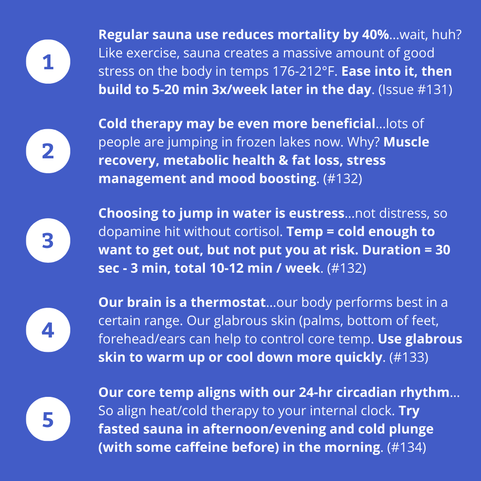 28.X_Weekly Insights