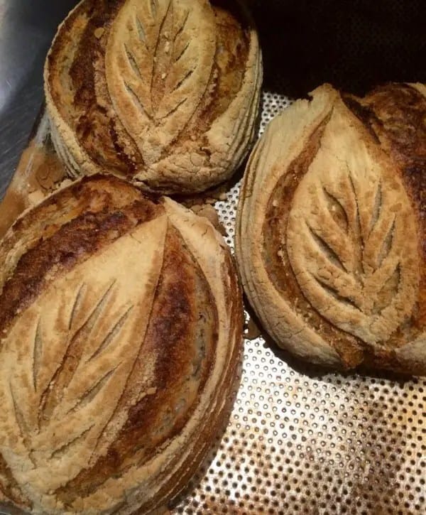 sourdough2-600x725