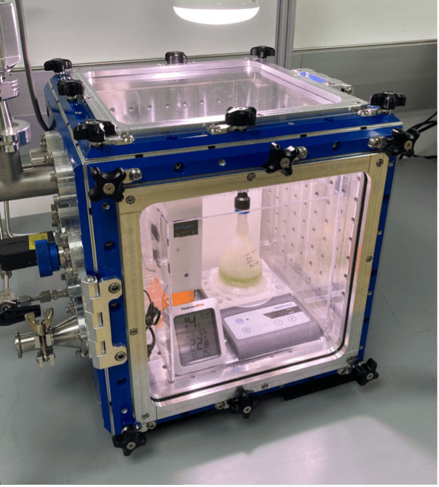 Bioplastic habitat inside the environmental growth chamber. 