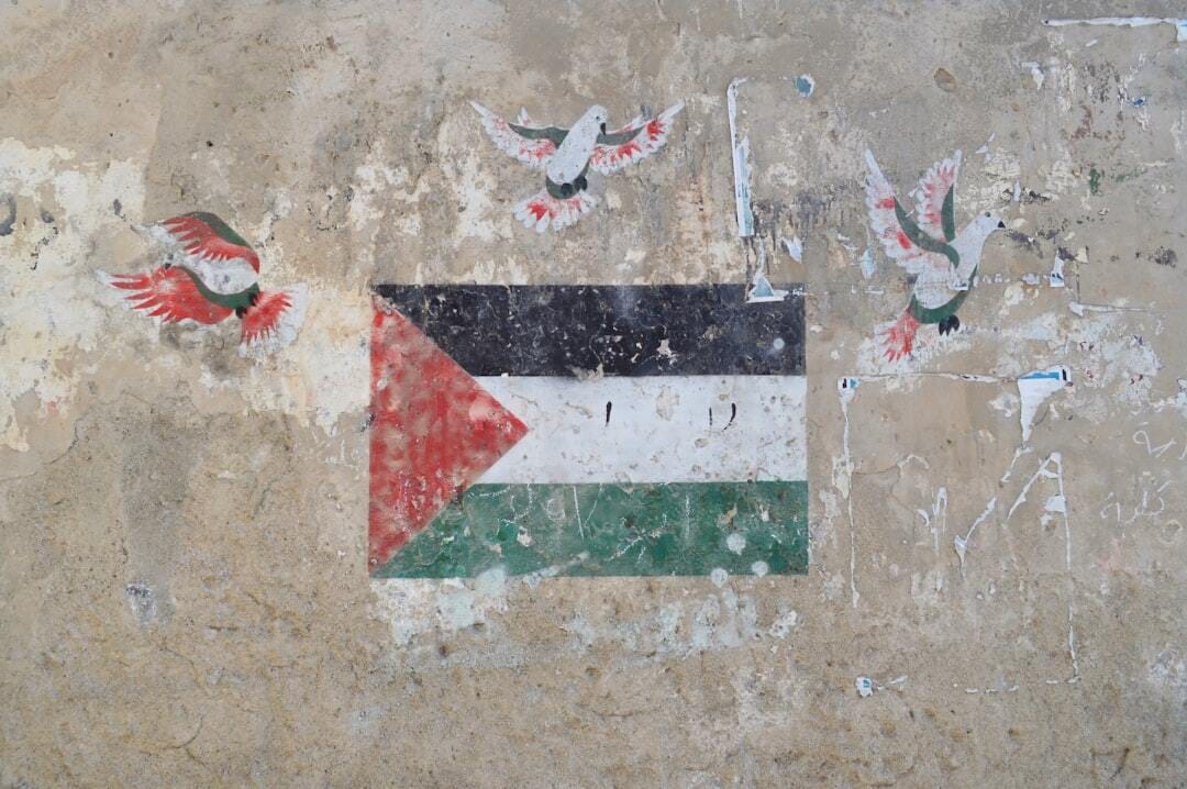 palestinian flag surrounded by peace doves