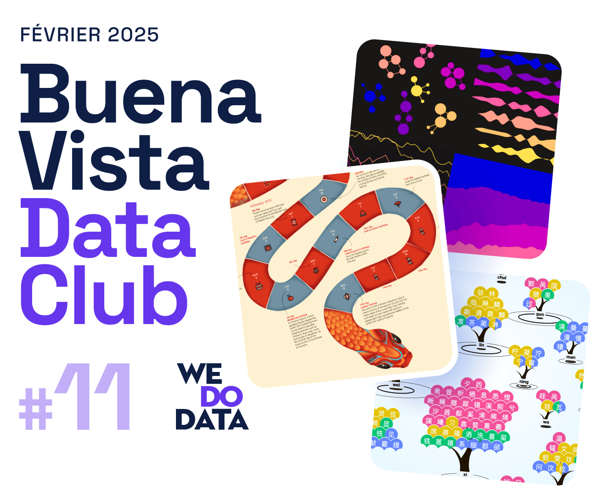 Buena Vista Data Club - #11 - février 2025