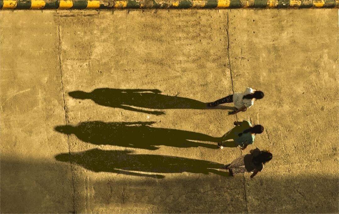 always with you... your shadow 