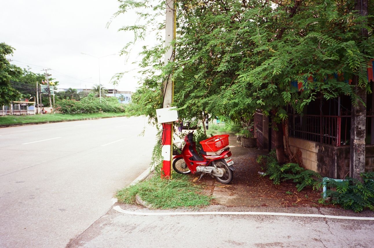 A red motor scooter parked on a sidewalk overshowdowed by low-hanging tree branches.