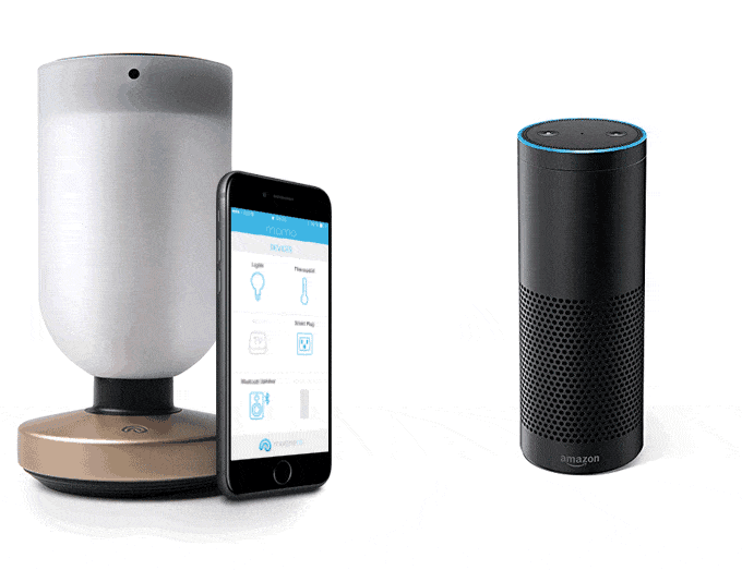 Momo smart home lamp