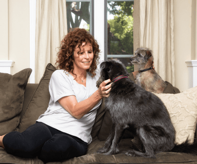 Pet Sitter