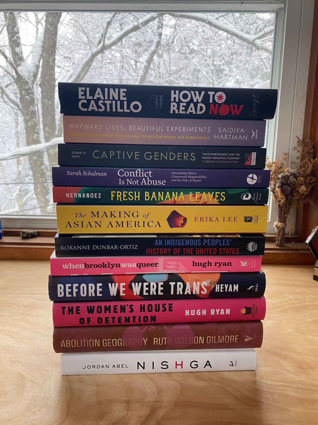 A big stack of books on a desk in front of a window. The books are: Abolition Geography , The Women's House of Detention, Before We Were Trans, When Brooklyn Was Queer,An Indigenous Peoples' History of the United States, The Making of Asian America, Fresh Banana Leaves, Conflict is Not Abuse, Captive Genders, Wayward Lives, Beautiful Experiments, How to Read Now and Nishga.