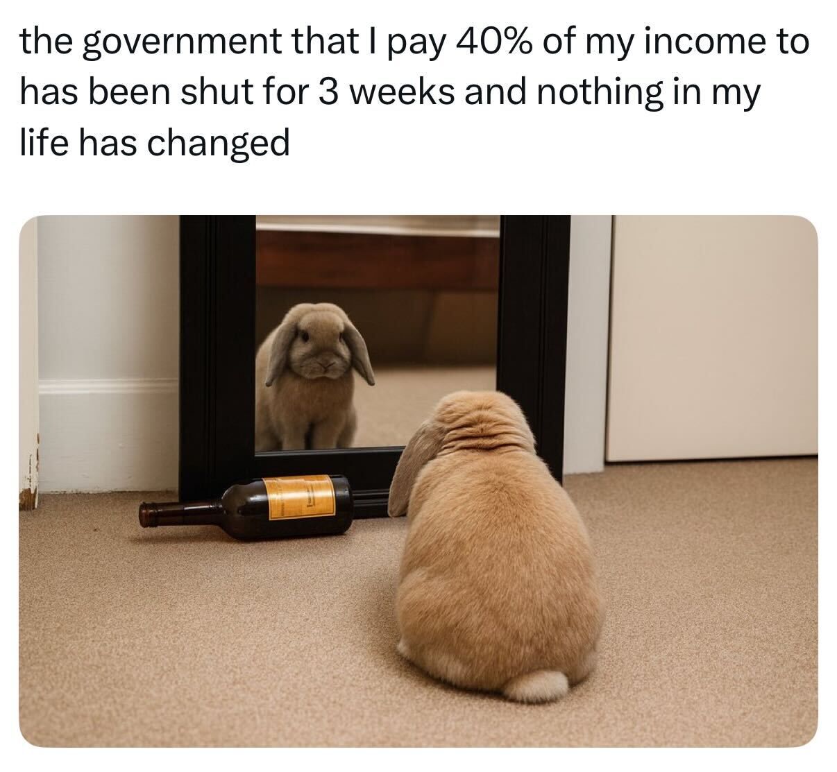 short squeez 40% tax government shutdown meme
