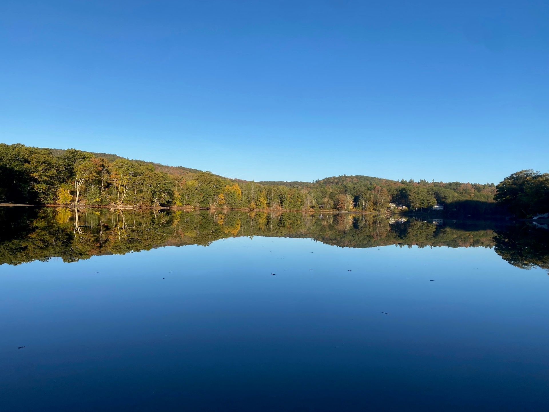 Ashfield Lake on a clear day, the surface of the water perfectly still under a blue sky.
