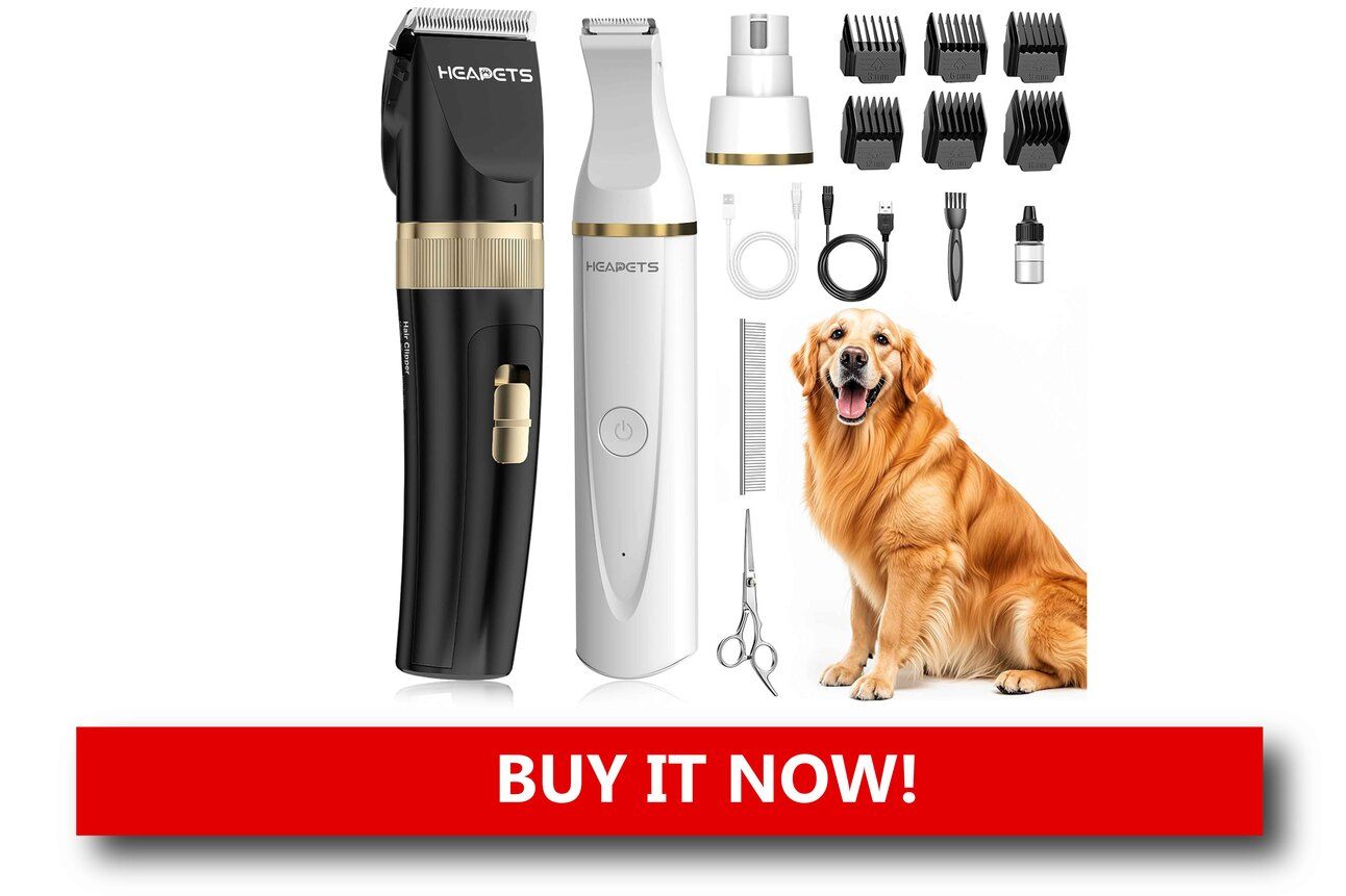 Eco-Conscious Grooming Kits Alt text: A bamboo pet grooming brush, compostable grooming wipes, and a bottle of natural ingredient shampoo arranged in a recycled gift box with minimal packaging.