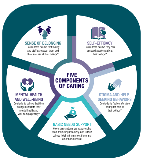 Image illustrating five components of caring