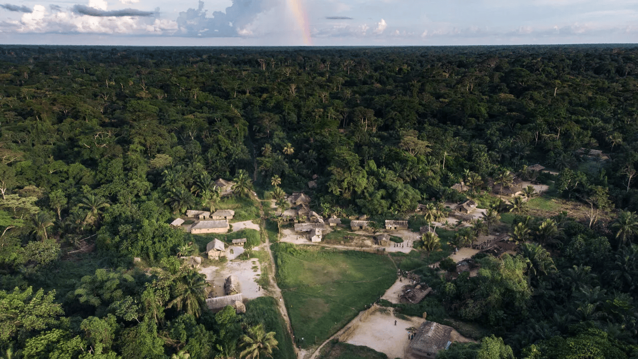 An image related to community efforts to protect Africa’s intact ecosystems and carbon sinks