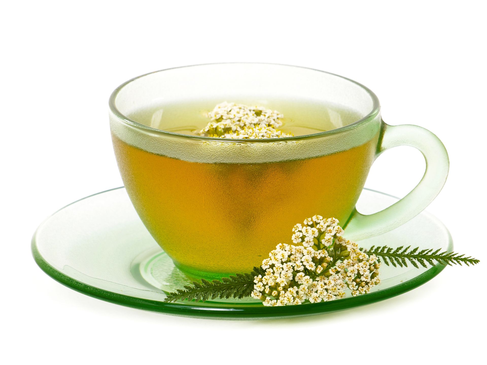 A clear mug of yarrow tea with leaves and flowers of yarrow on a platee