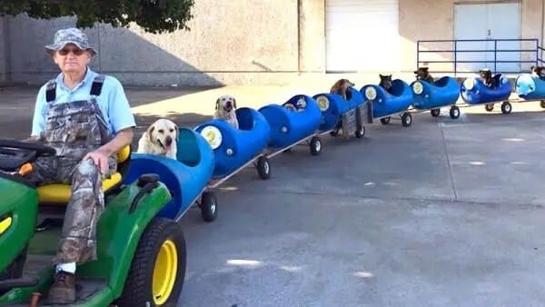 600x338xdog-train-600x338.jpg.pagespeed.ic.WmXYVGPcgD