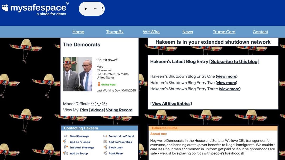 A screenshot shows a parody webpage of MySpace titled "mysafespace a place for dems." The screenshot shows a profile for an account called "The Democrats" including blog entries, a blurb and ways to contact him.
