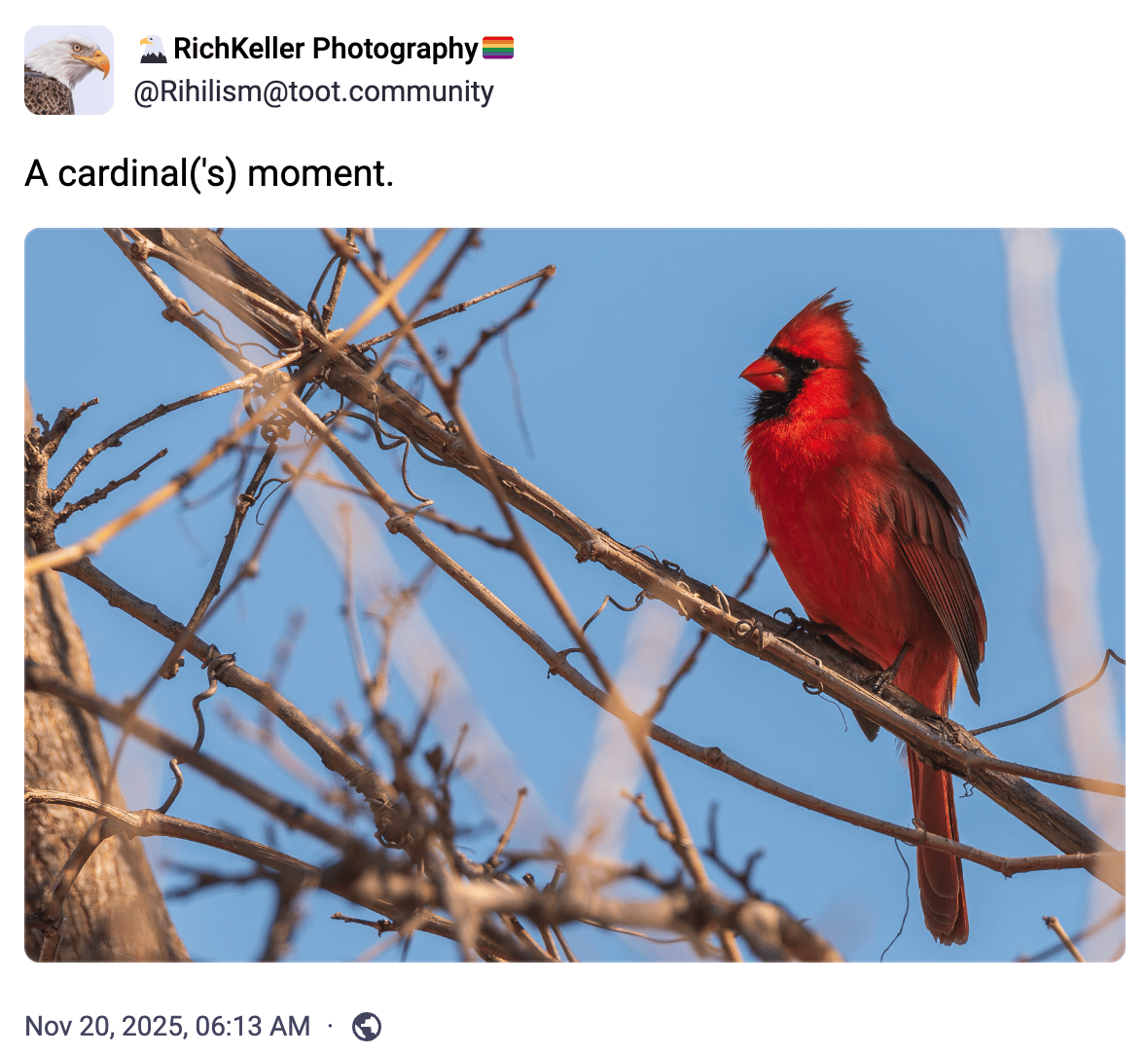 A cardinal('s) moment.