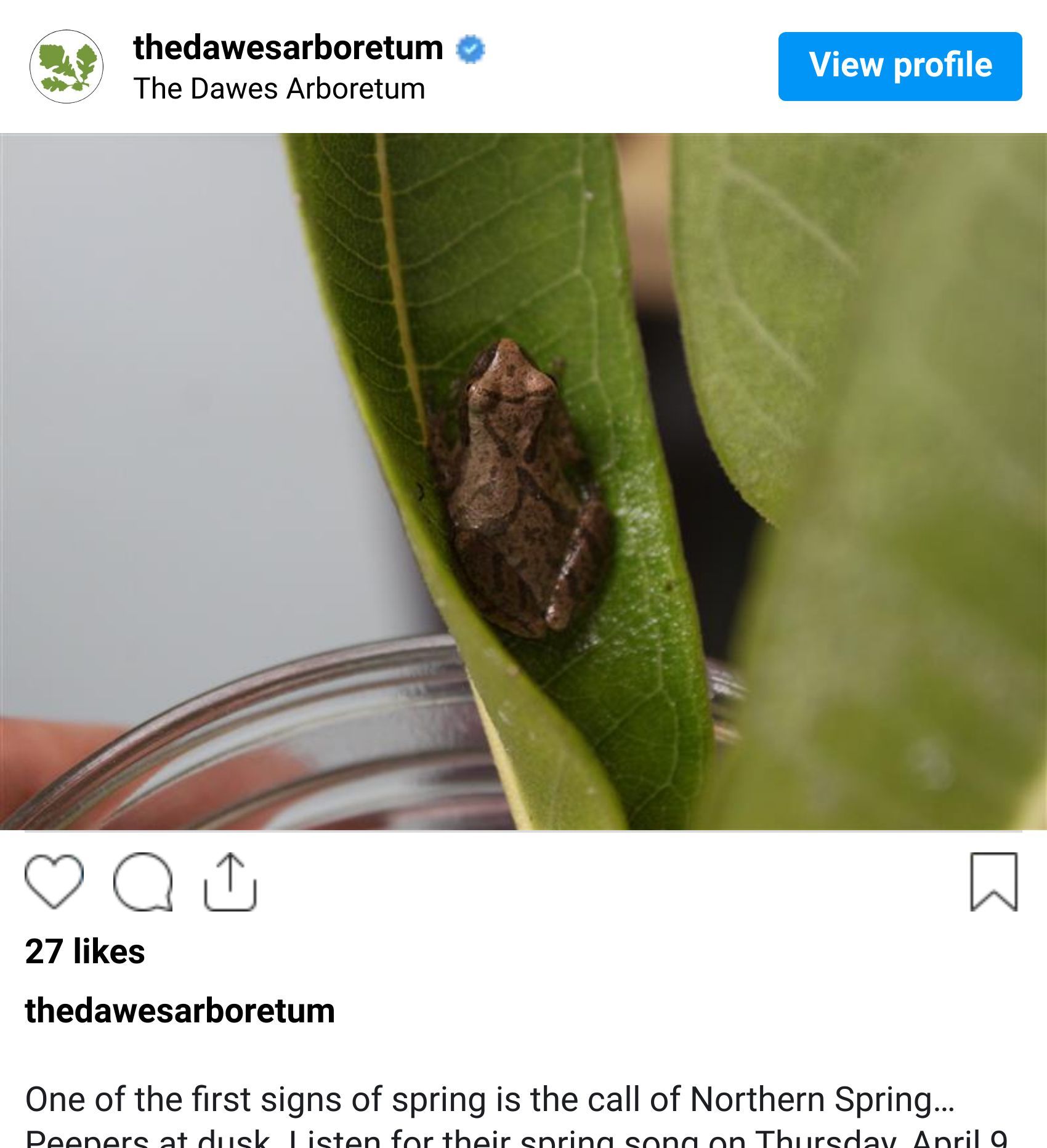 Screenshot of Instagram p DWfGs0HDB4r