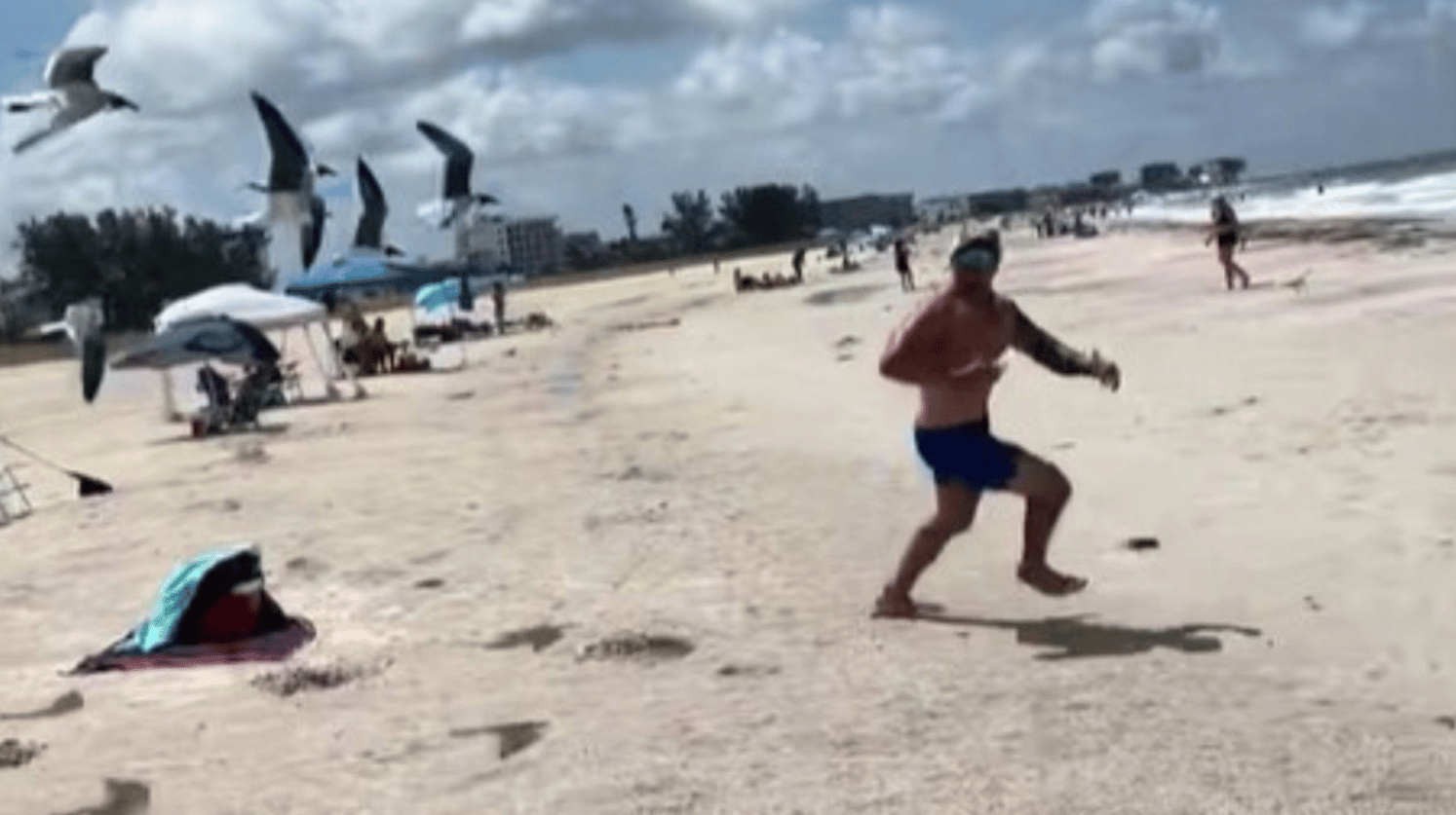Image shows a man running at a beach as seagulls chase him to steal his snack.
