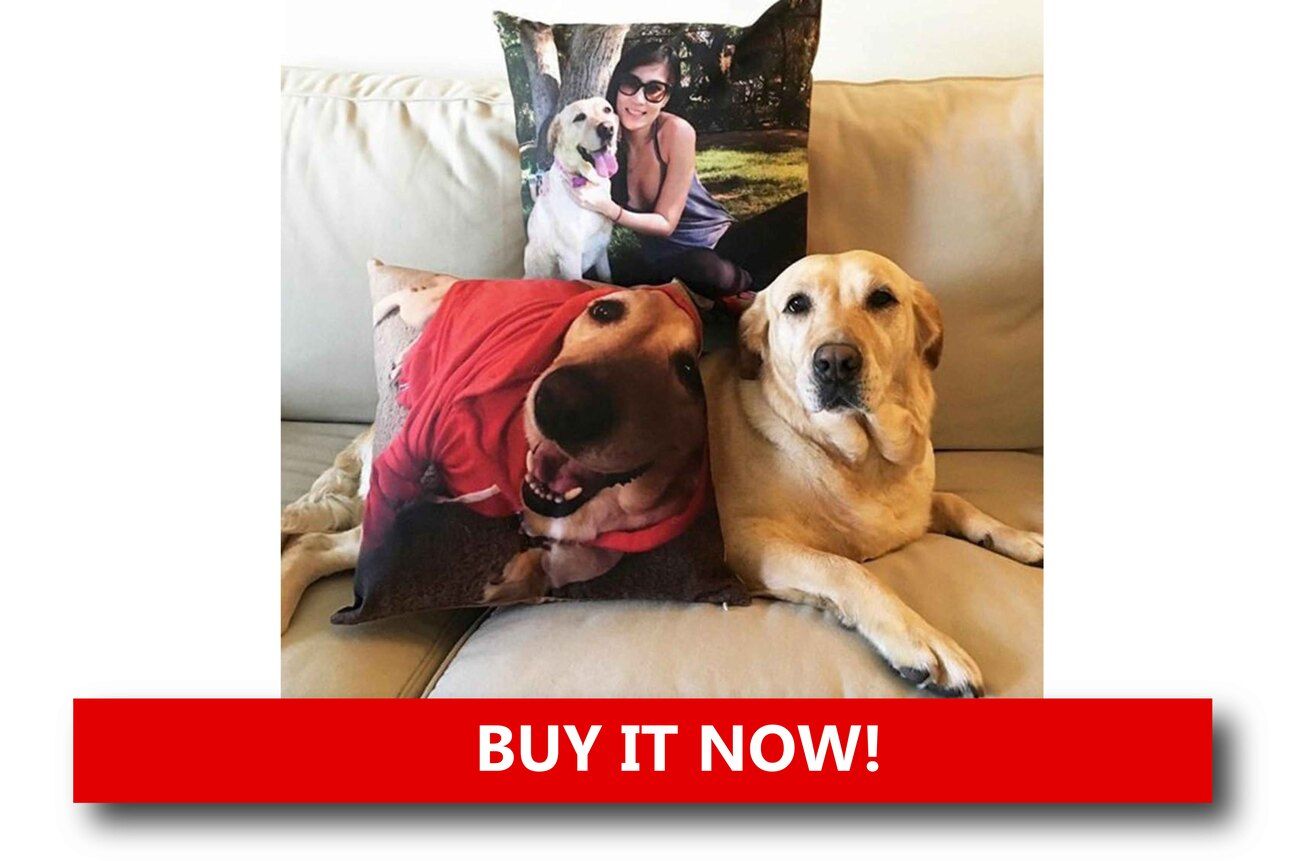 Custom Ferret Portrait or Pillow Alt text: A throw pillow featuring a digital illustration of a ferret wearing a crown, placed on a couch with matching pet-themed decor.