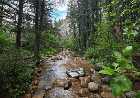 photo submissions for the 2026 Discover COS Calendar