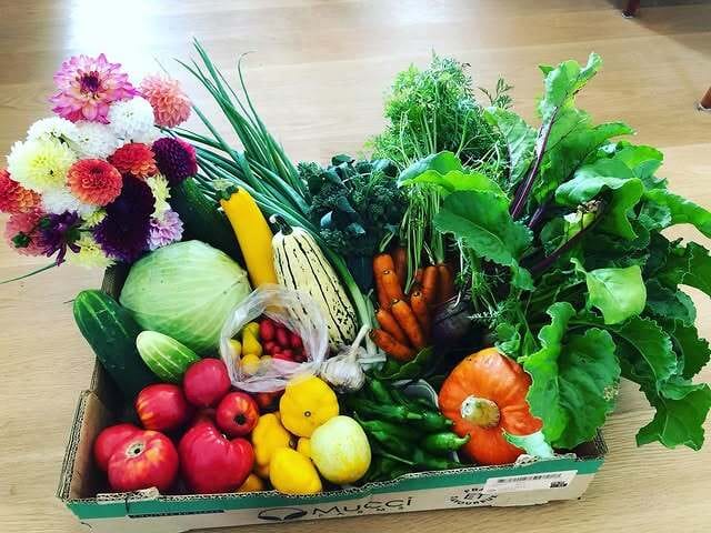 arnasonbrookfarm on Instagram