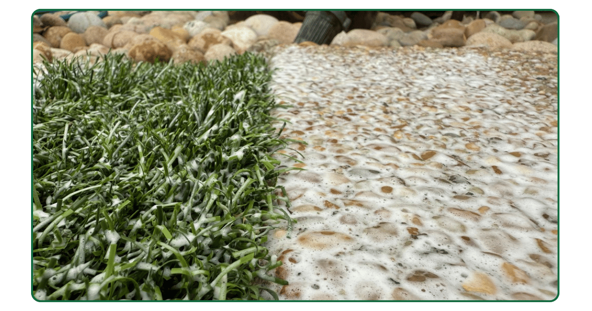 Close-up of artificial turf and stone patio covered in thick foam from Dozzle’s FoamZyme sprayer, showing even coverage and clinging action across surfaces