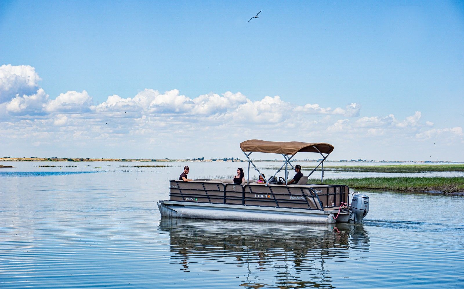 Birdwatching on boat at Willow Bay in American Falls Idaho