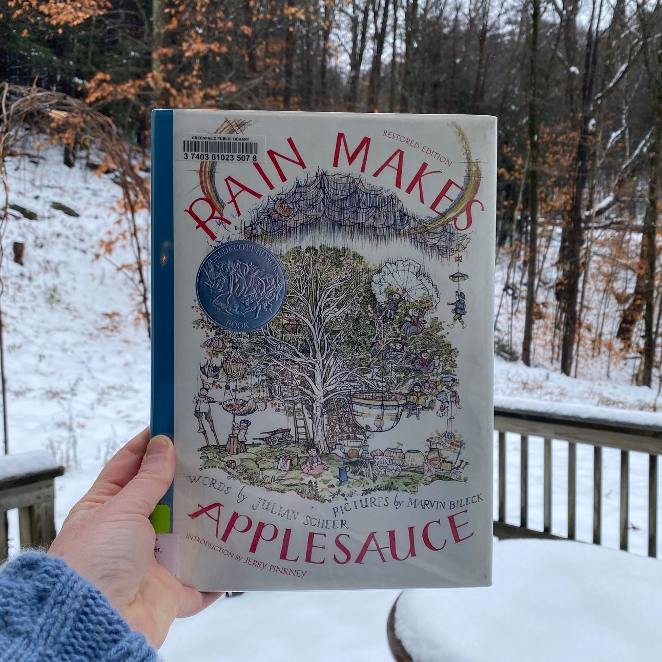 I’m holding this book up in front of my snow-covered porch.