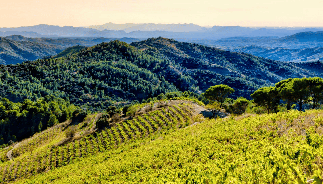 a view of a mountain range with hills and trees