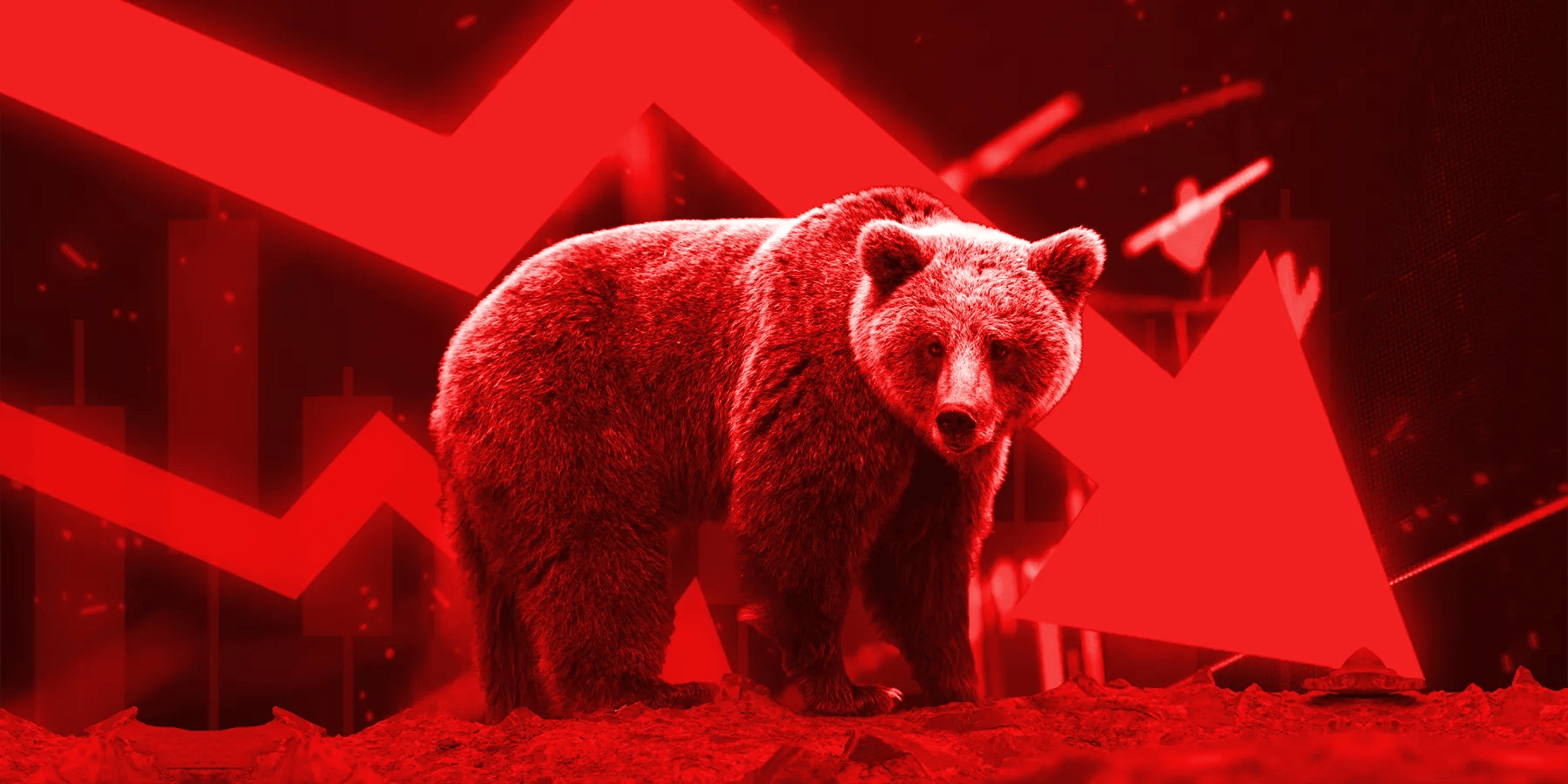 what-is-a-bear-market