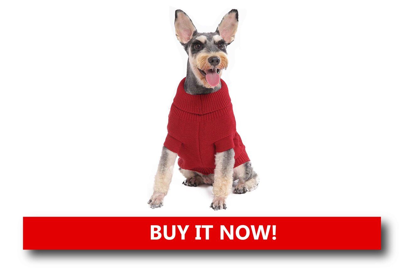 Miniature Pet Christmas Sweaters Alt text: A small dog wearing a red Christmas sweater with a reindeer design, sitting by a glowing fireplace with presents nearby.