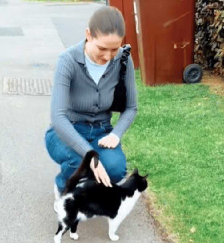 Image shows a pedestrian that stops to pet a street cat