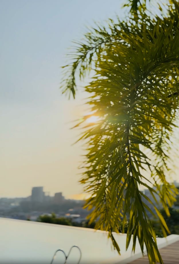 Sunset at 360 Resort