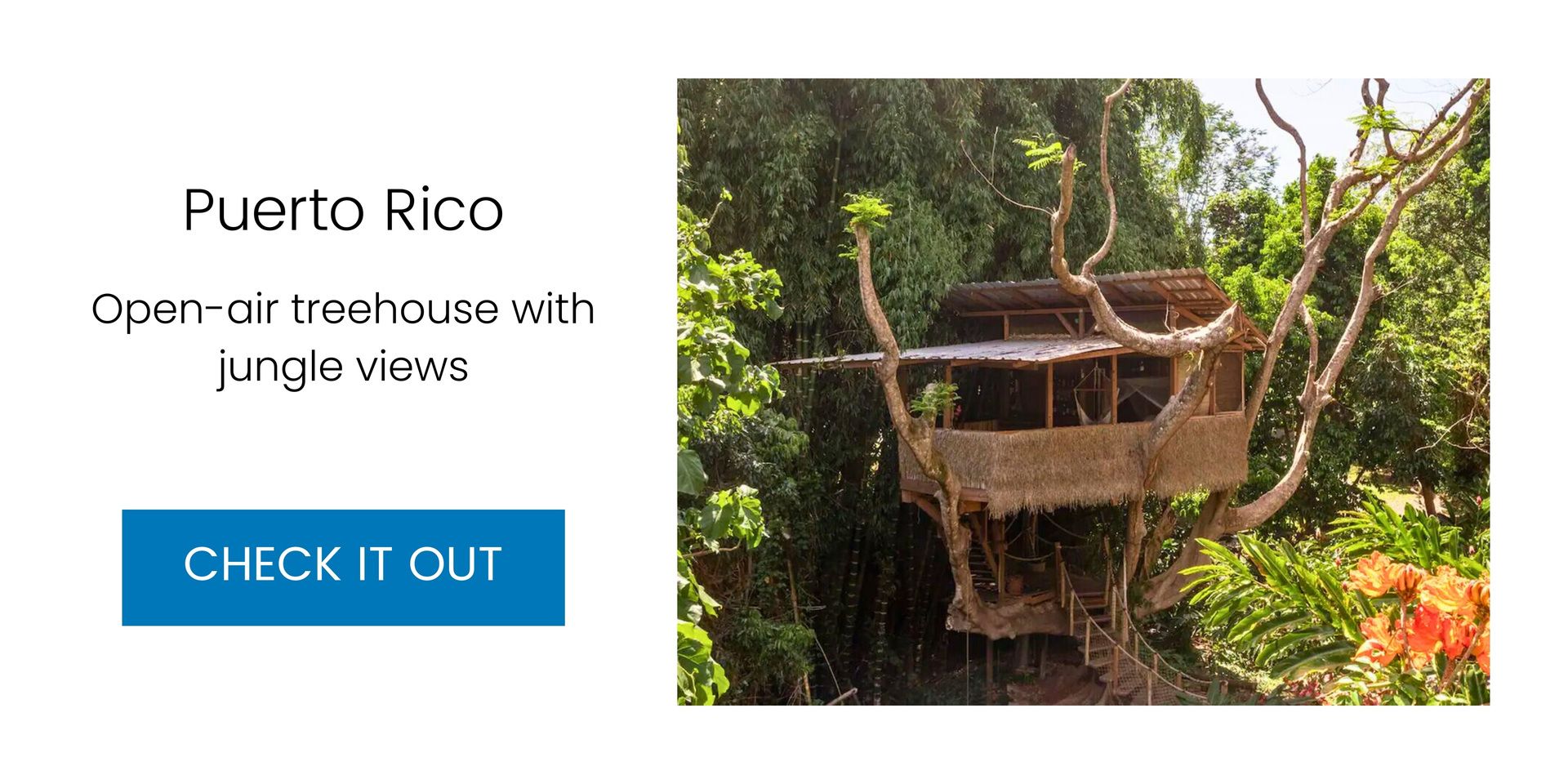Puerto Rico: Treehouse — $136 a night
