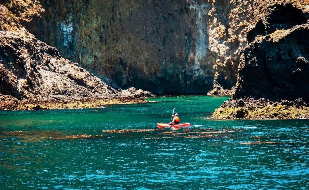 person canoeing on the water