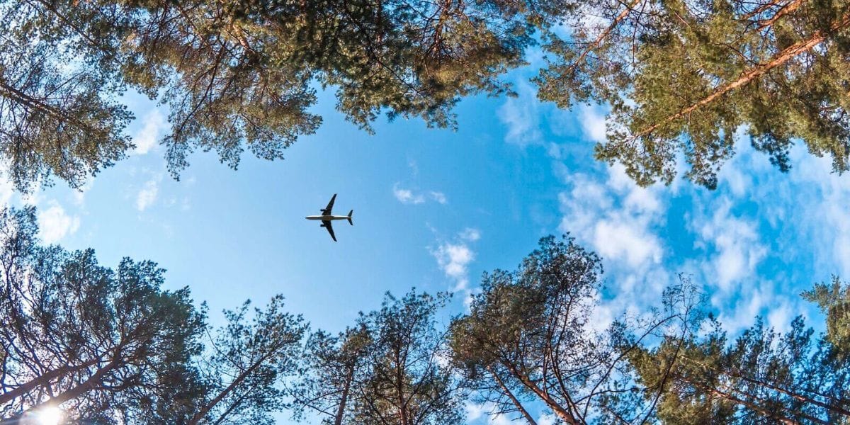 a plane flying in the sky