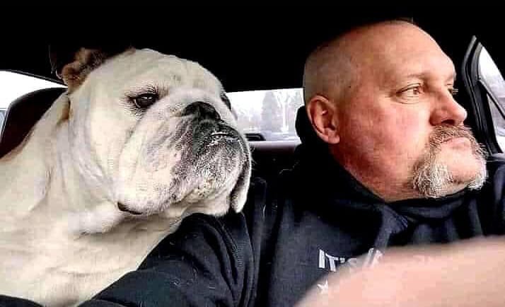 Like your dog