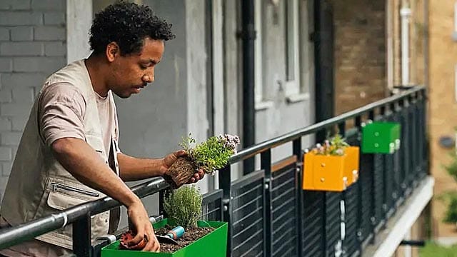 What if we take a little action?