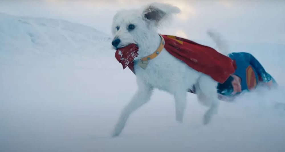 Krypto