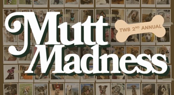 Mutt Madness second annual banner