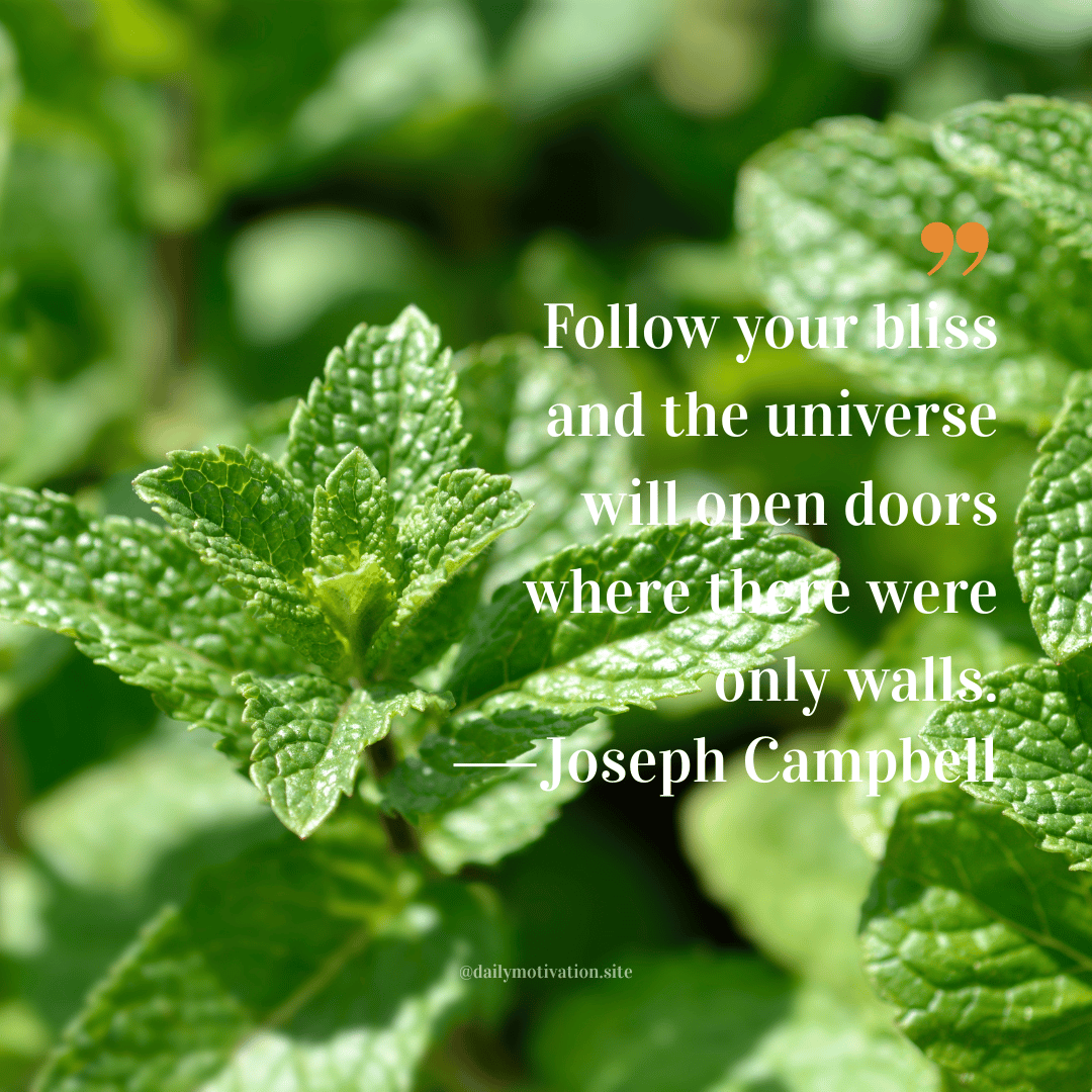 Close-up of fresh green mint leaves. Quote by Joseph Campbell: “Follow your bliss and the universe will open doors where there were only walls.”