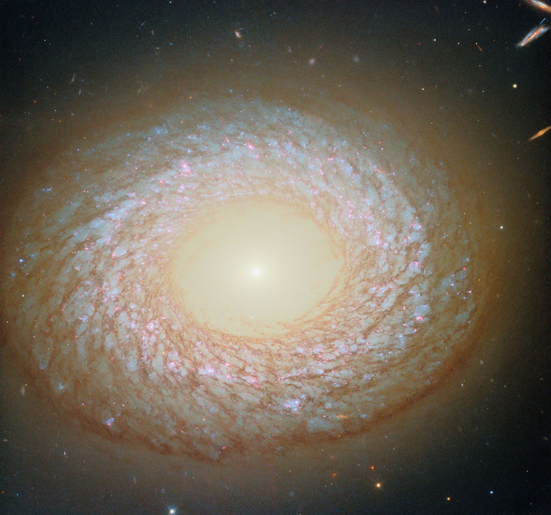 A new image from the NASA/ESA Hubble Space Telescope highlights NGC 2775, a galaxy in Cancer (The Crab) constellation that defies easy classification. Its smooth, gas-deficient core resembles an elliptical galaxy, while its outer ring displays patchy star clusters typical of spirals. 67 million light-years away, most astronomers label it a flocculent spiral, though some suggest it may be lenticular—a transitional type possibly shaped by mergers or gas depletion. A faint hydrogen tail, invisible in the image, stretches nearly 100,000 light-years, hinting at past interactions. The latest observations include red light from hydrogen clouds, helping researchers trace regions of recent star formation.