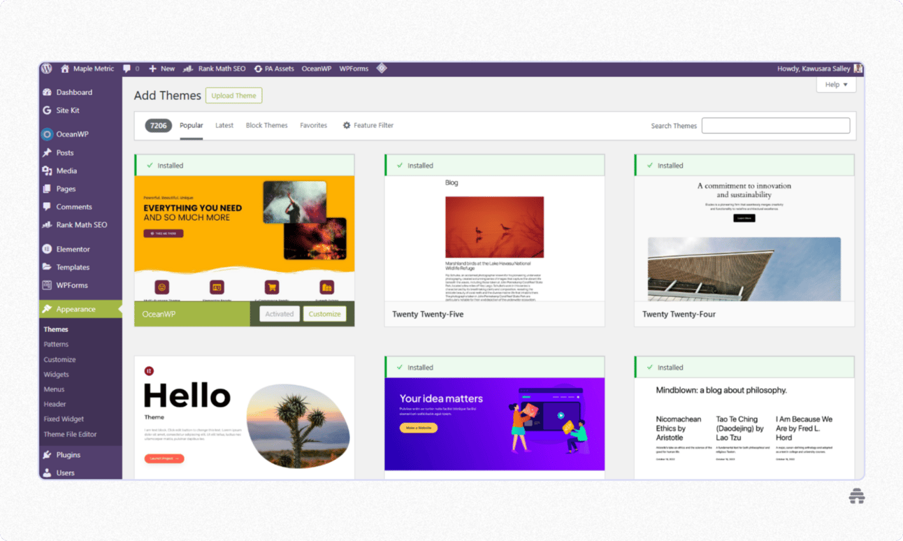 WordPress dashboard showing the Add Themes page with installed and available website themes like OceanWP and Twenty Twenty-Five. Illustrates how creators customize the design of a WordPress blog or website using themes.