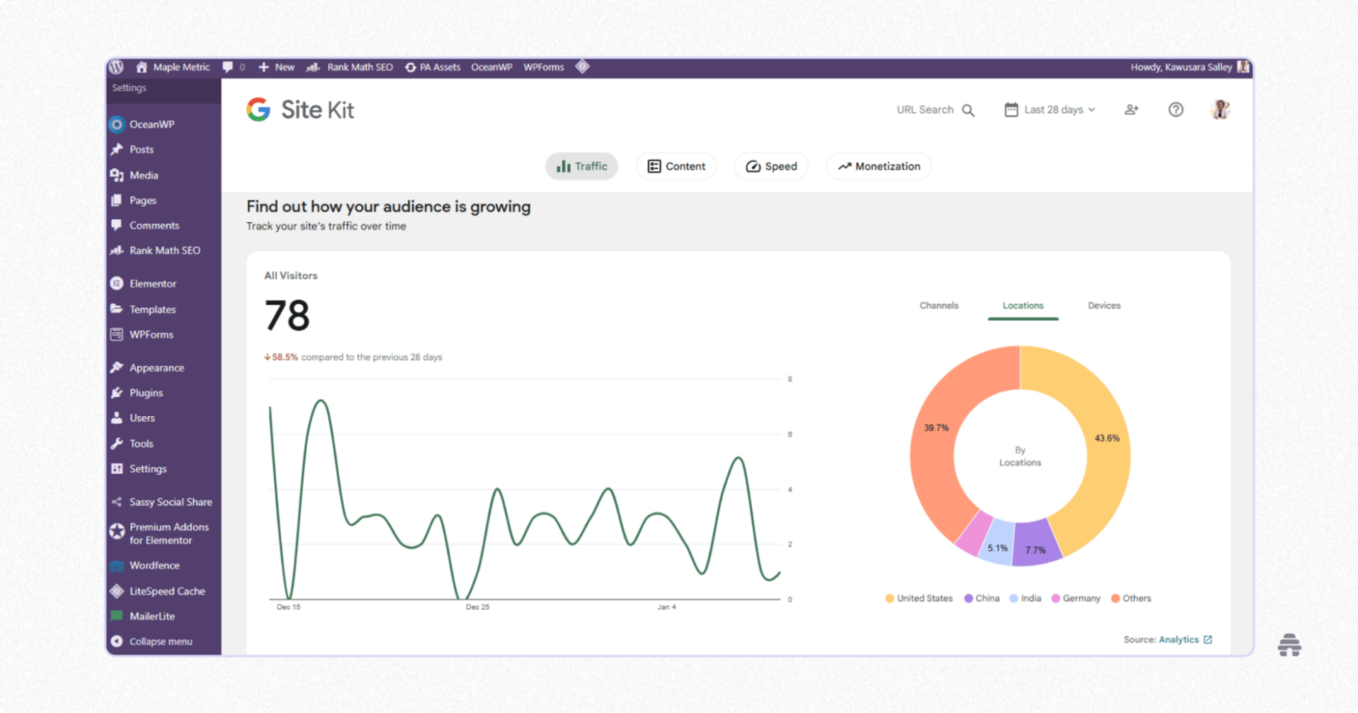 WordPress Google Site Kit dashboard displaying website traffic analytics and audience location data. Shows visitor trends, geographic distribution, and performance insights directly inside the WordPress admin panel.