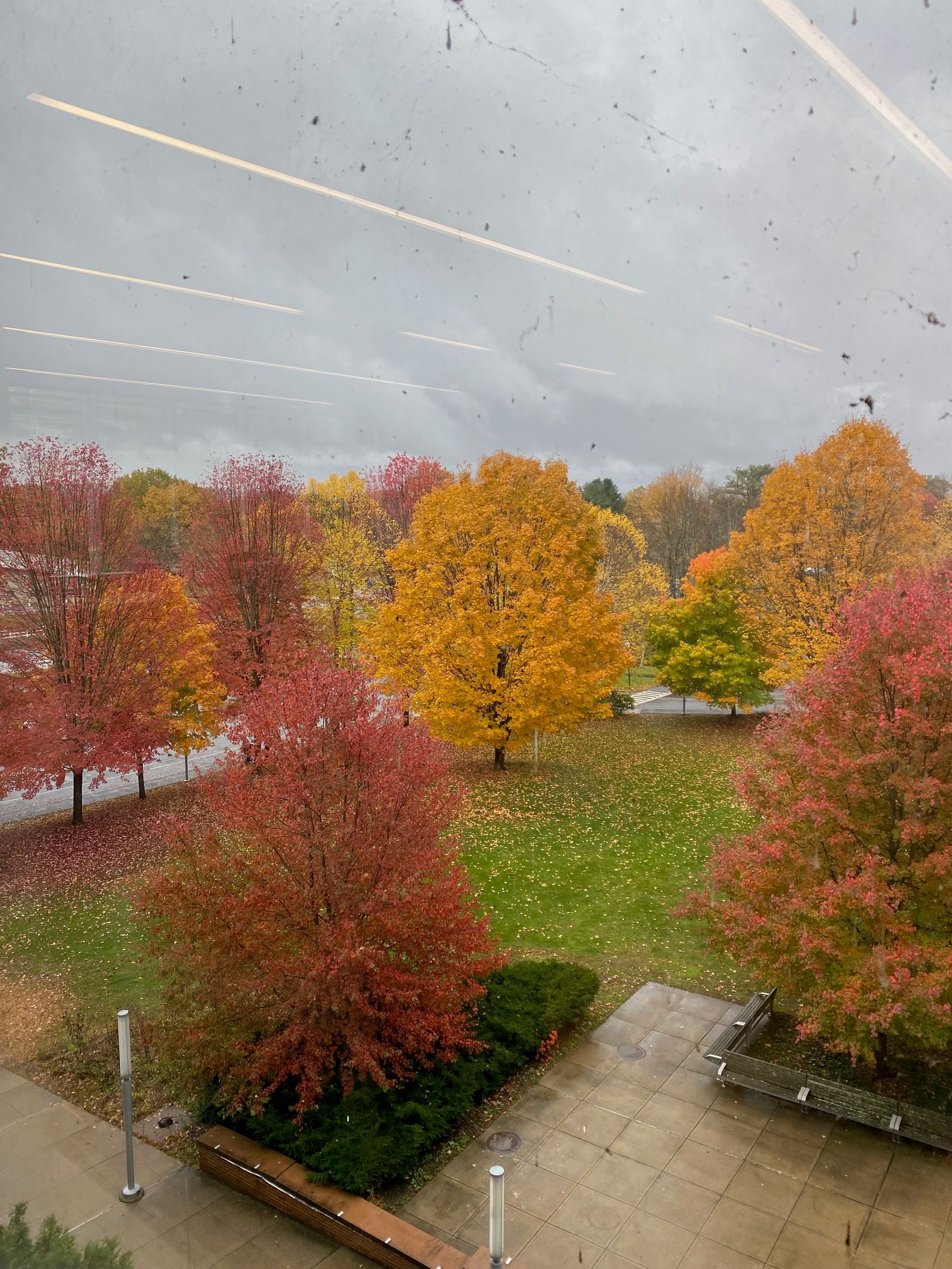 View through a large window of a collection of brilliant red, yellow, and orange trees..