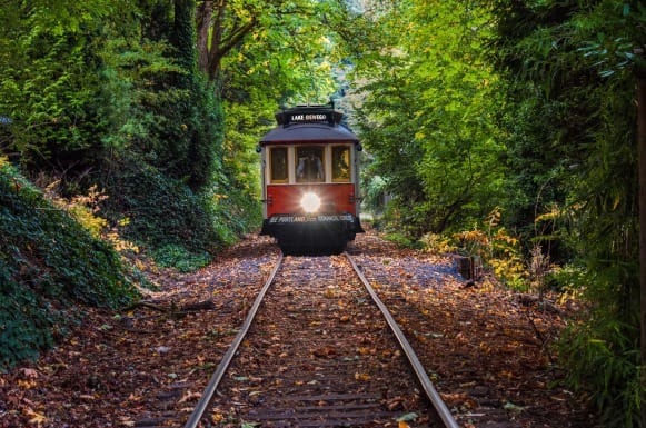 Willamette Shore Trolly in the forest