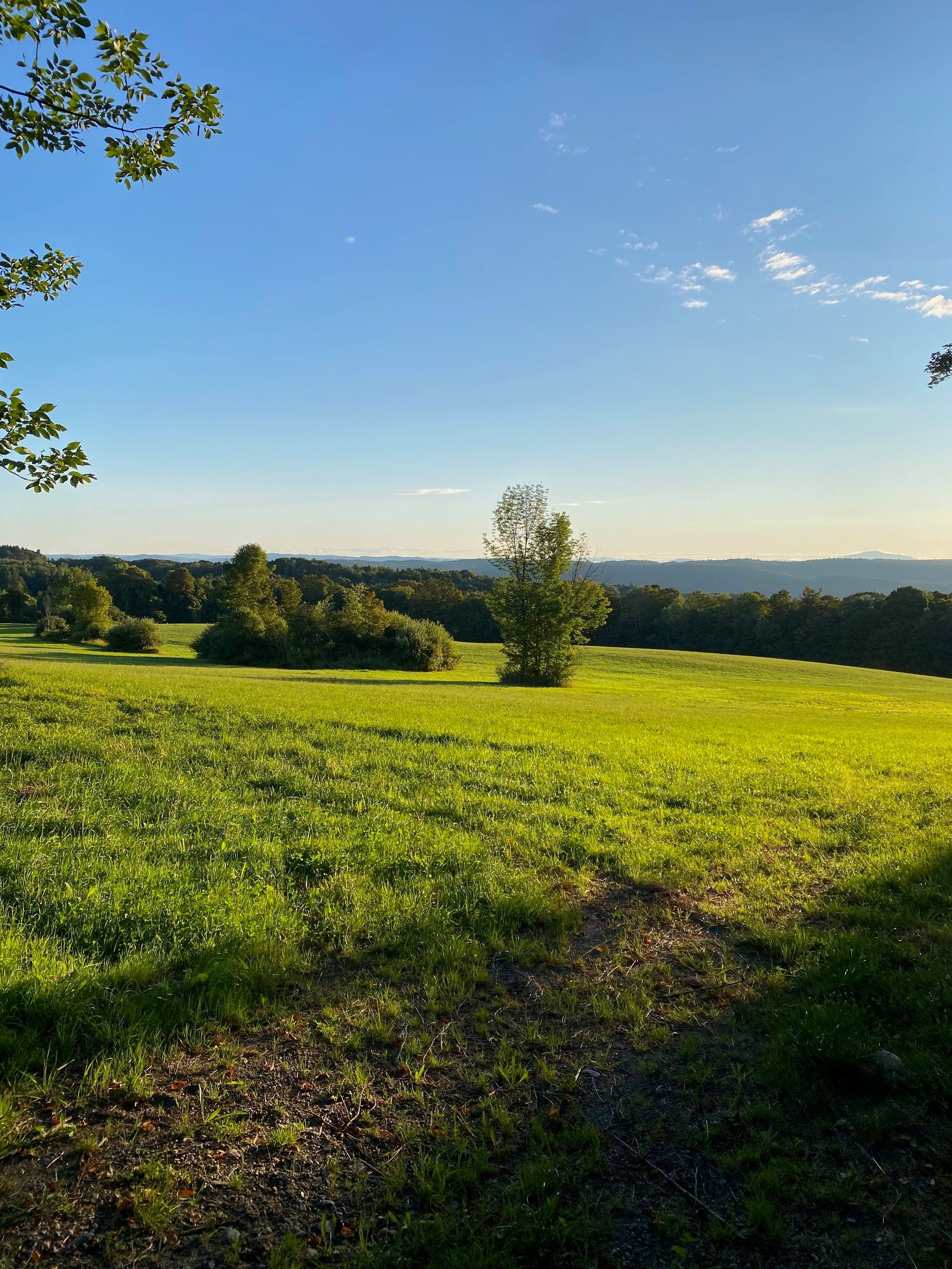 A sunny green field with trees, hills, and Mt. Monadnock in the distance under a clear blue sky. 