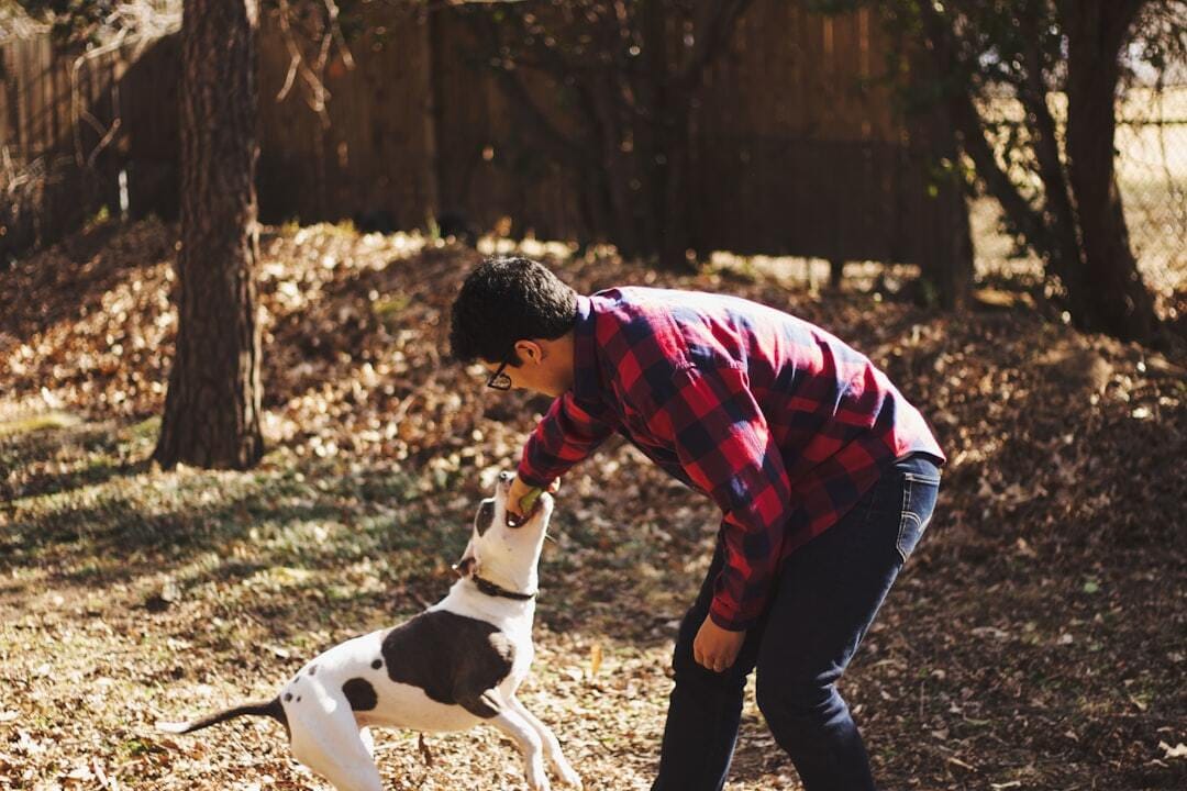 Play Time