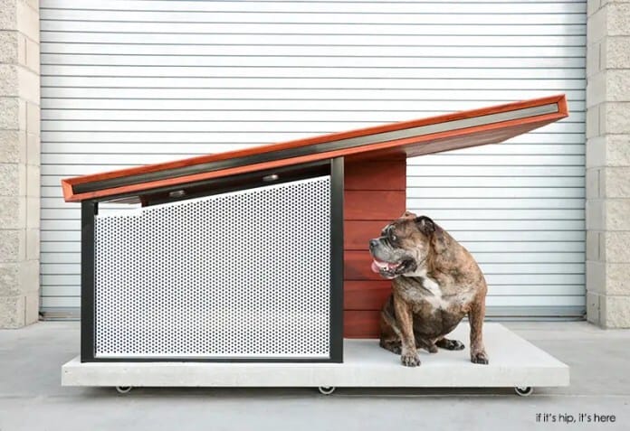 doghausoutdoor1